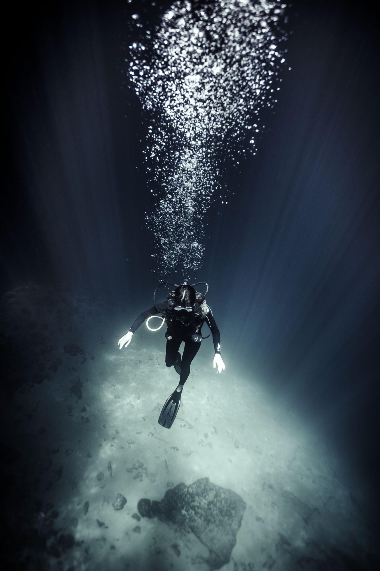 High Angle Underwater View Of Diver Wearing Wet Su 2023 11 27 05 24 34 Utc